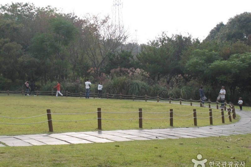 漢拏樹木園 (11/18)
