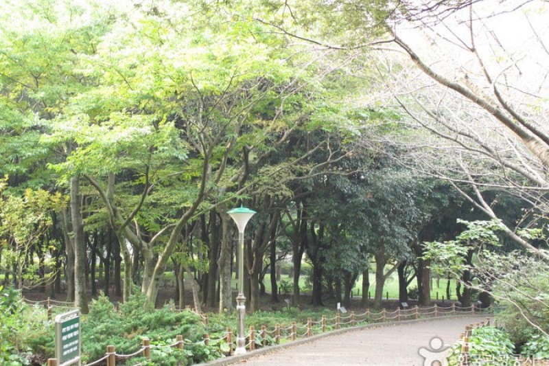 漢拏樹木園 (12/18)