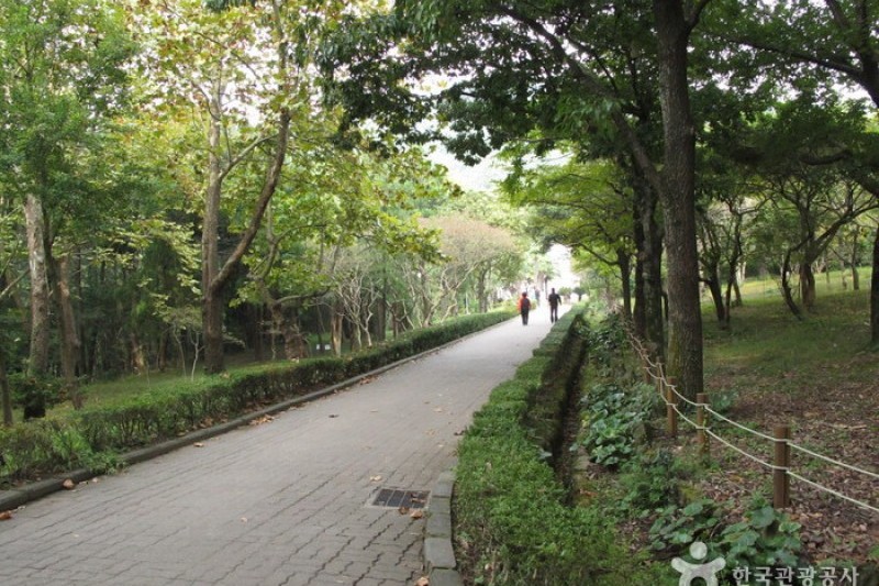 漢拏樹木園 (13/18)