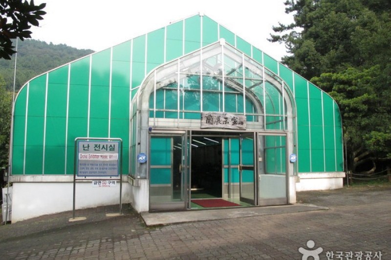漢拏樹木園 (15/18)