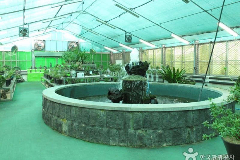 漢拏樹木園 (17/18)