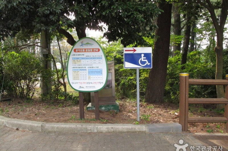 漢拏樹木園 (18/18)
