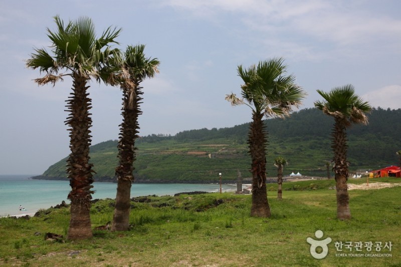 咸徳 犀牛峰海水浴場 (21/23)