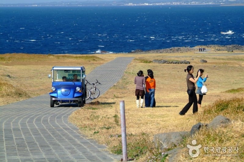 馬羅島 (11/15)