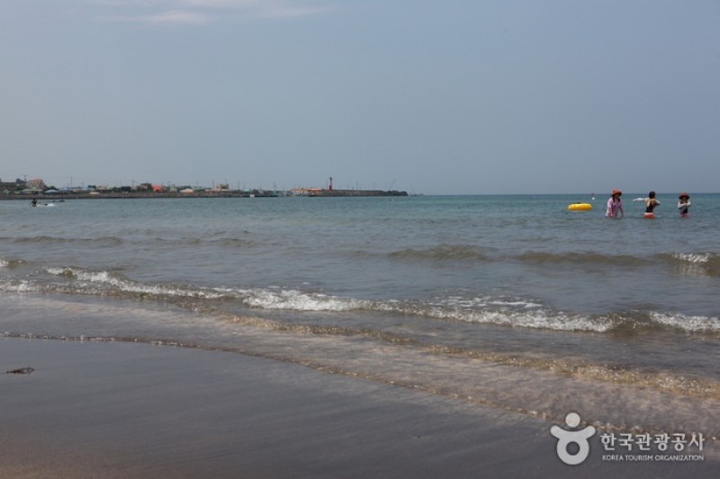 三陽黒砂海岸 (8/17)