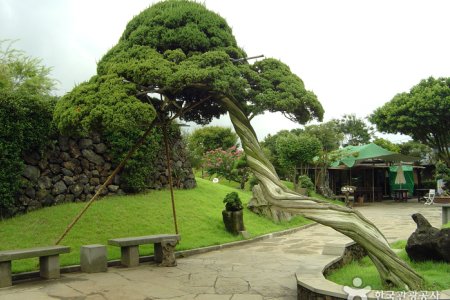 盆栽芸術園