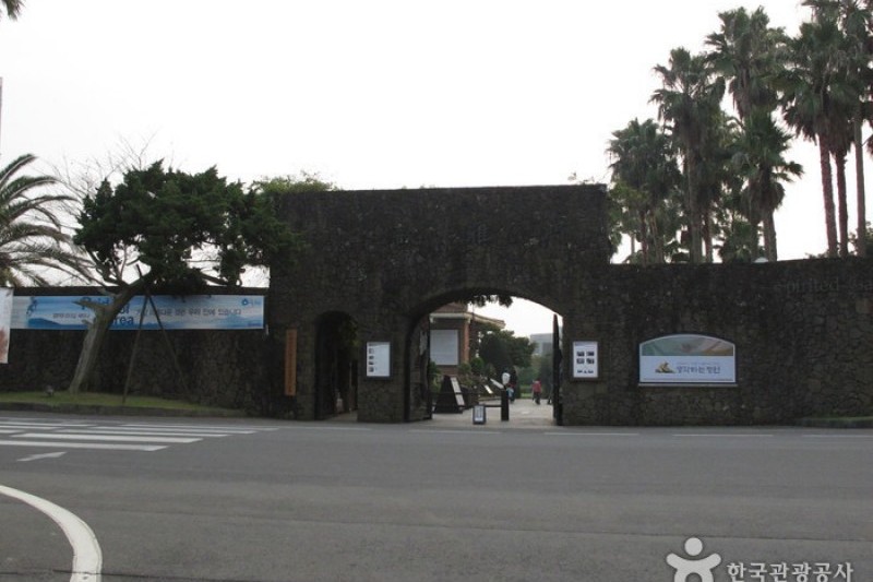 盆栽芸術園 (1/27)