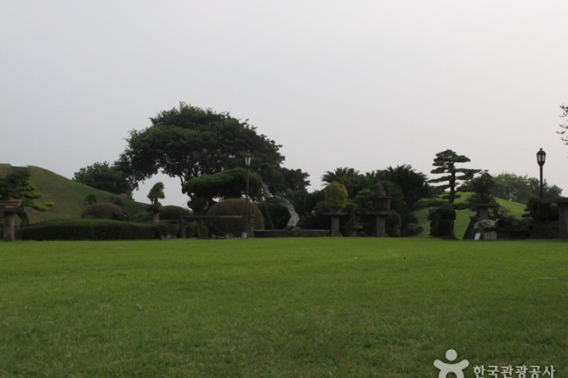 盆栽芸術園 (5/27)