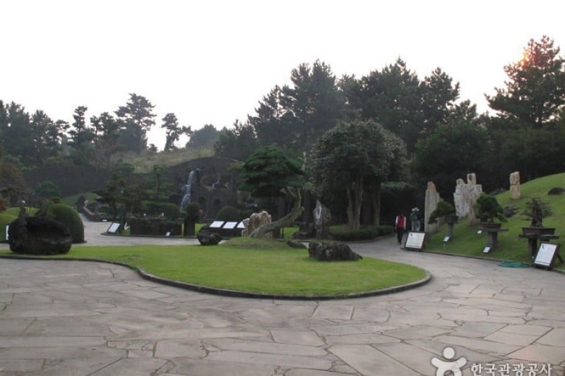 盆栽芸術園 (6/27)