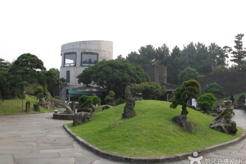盆栽芸術園 (7/27)