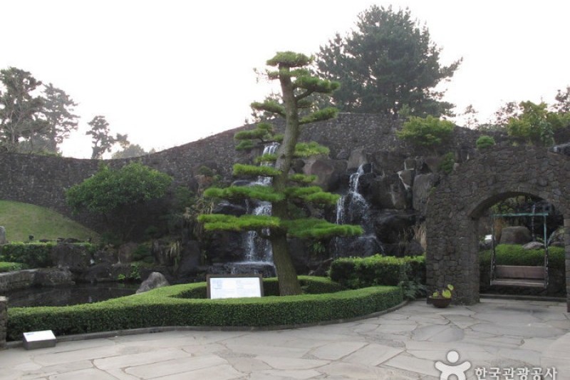 盆栽芸術園 (8/27)