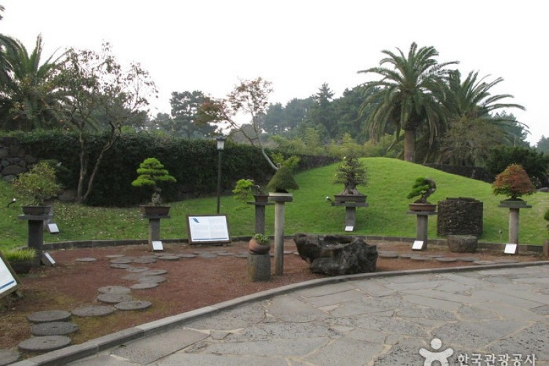 盆栽芸術園 (13/27)