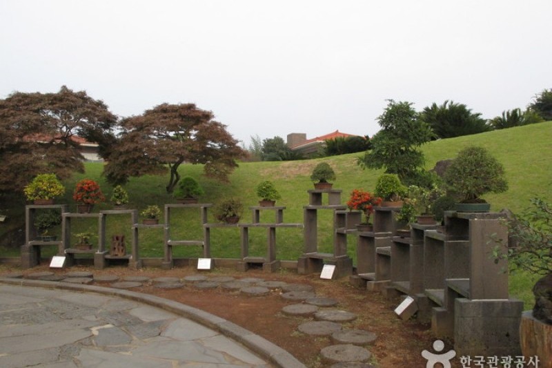 盆栽芸術園 (14/27)