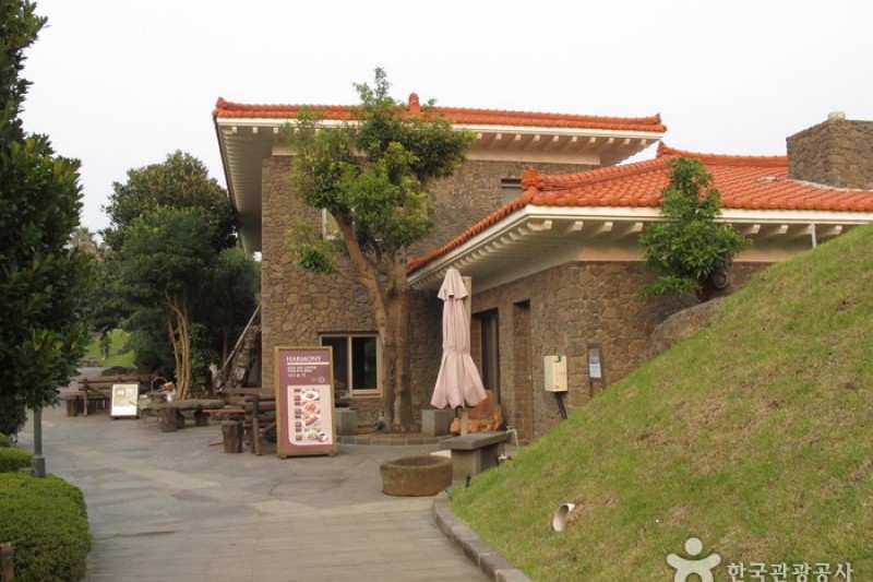 盆栽芸術園 (18/27)