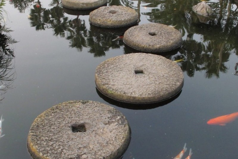 盆栽芸術園 (20/27)