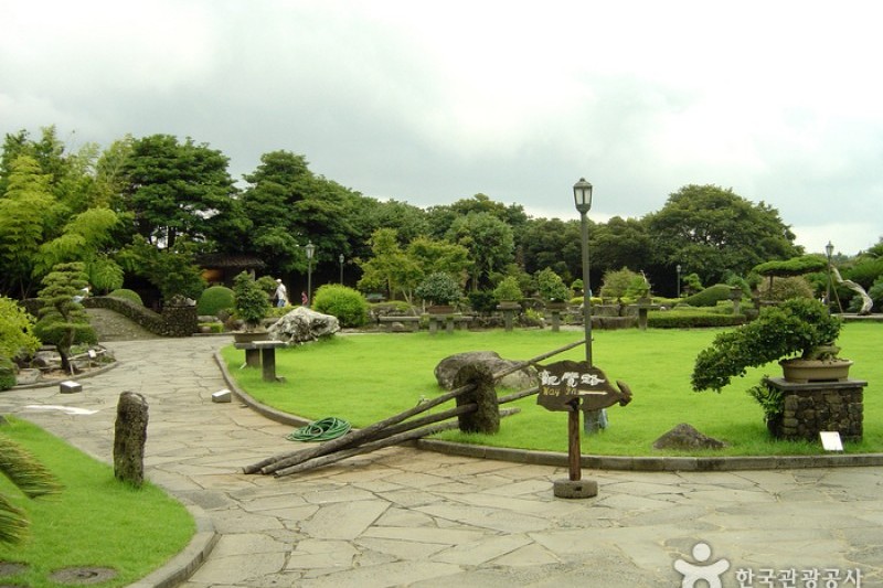 盆栽芸術園 (25/27)