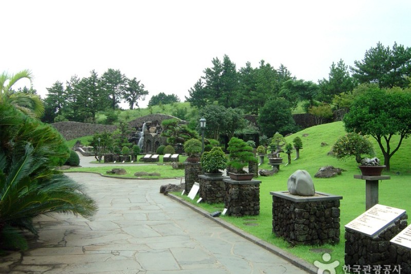 盆栽芸術園 (26/27)