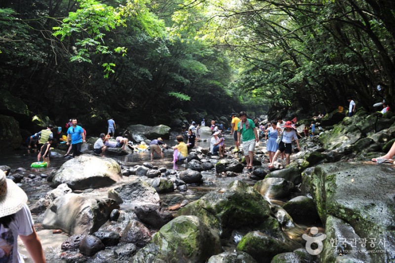 トンネコ遊園地 (2/10)