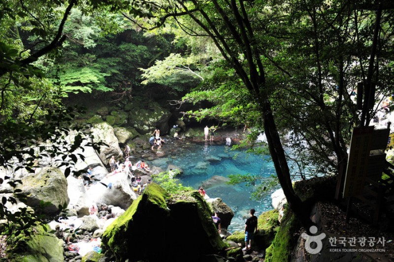 トンネコ遊園地 (6/10)