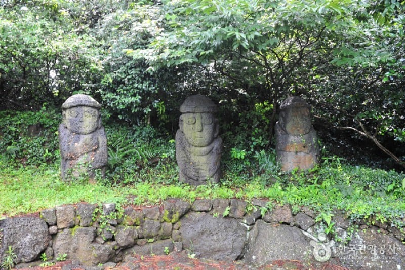 北村トルハルバン公園 (8/17)