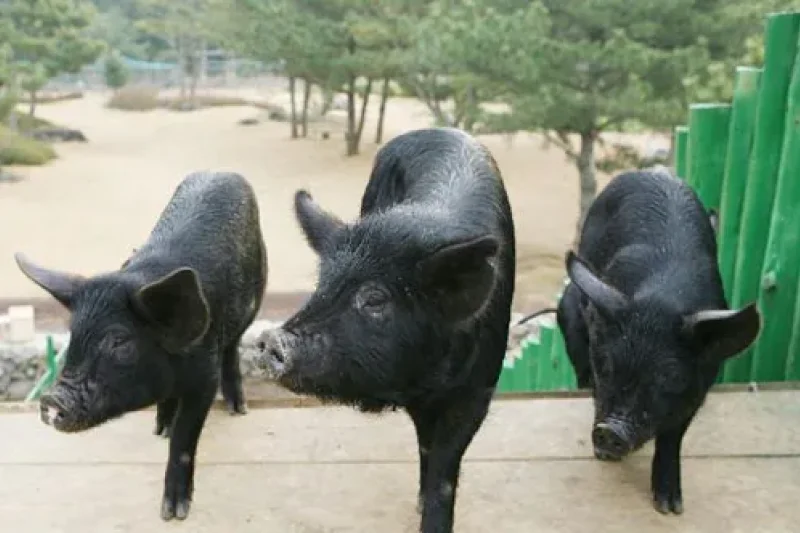 休愛里自然生活公園 (2/16)