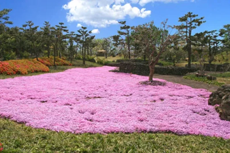 休愛里自然生活公園 (9/16)