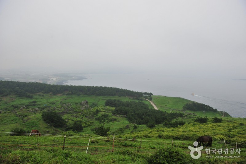松岳山 (3/6)