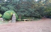 榧子林