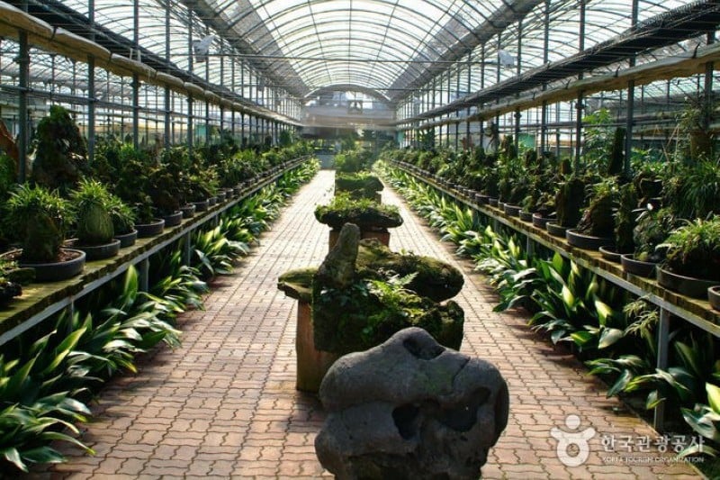 ソクブジャク博物館 (2/4)