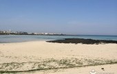 飛揚島