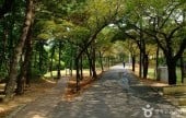 沙羅峰公園