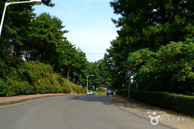 沙羅峰公園 (1/6)