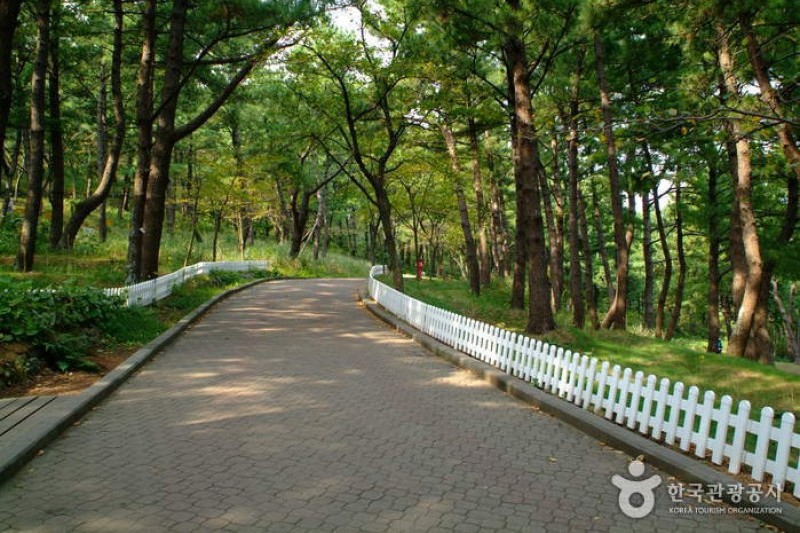 沙羅峰公園 (5/6)