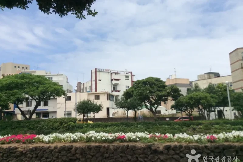 山地川（산지천 (6/6)