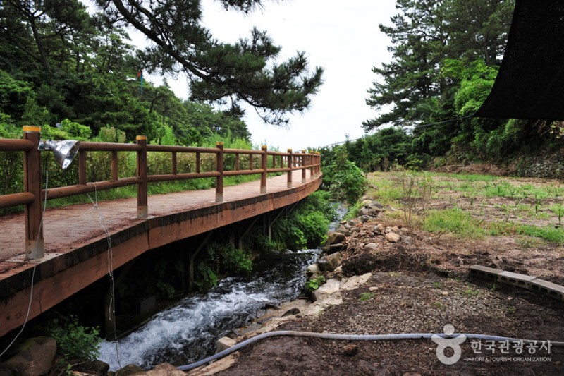 済州島観光特区 (7/28)