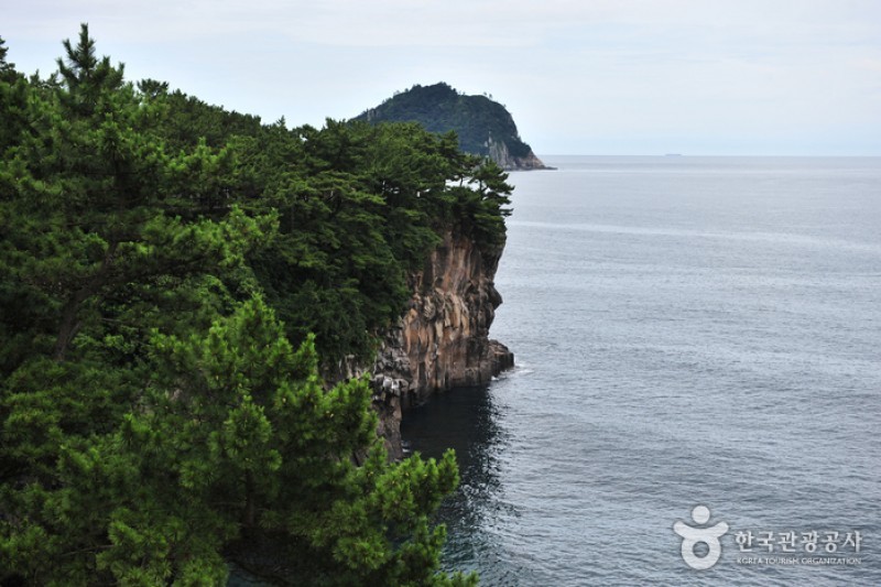 済州島観光特区 (8/28)