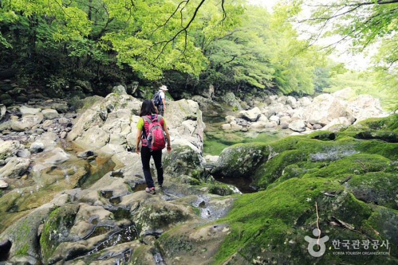 済州島観光特区 (19/28)