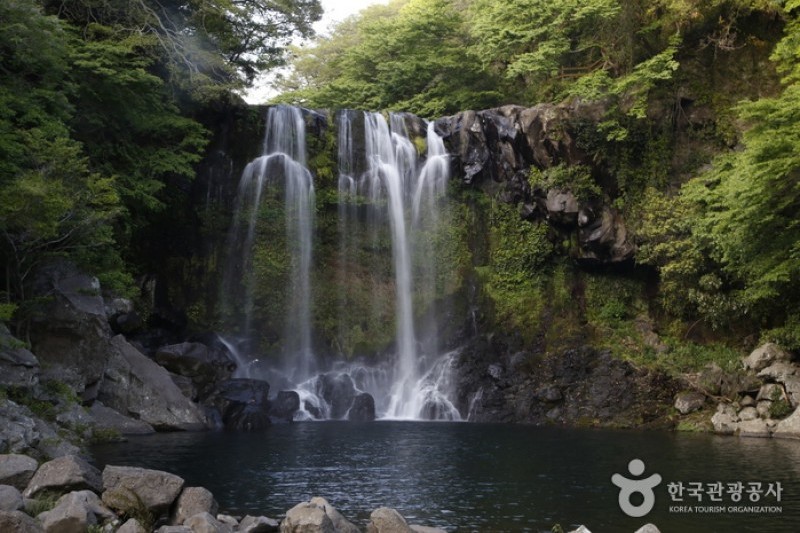 済州島観光特区 (24/28)
