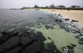 ［済州オルレ1－1コース］牛島オルレ
