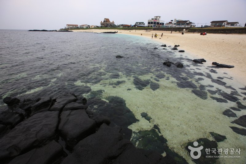 ［済州オルレ1－1コース］牛島オルレ (1/3)