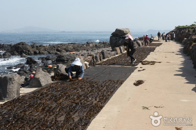 加波島 (2/9)