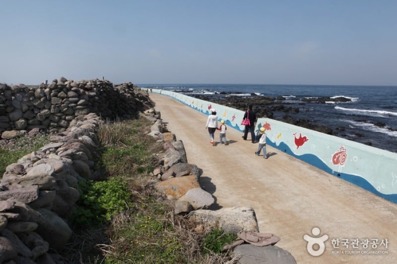 加波島 (3/9)