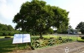 ［済州オルレ16コース］高内光令オルレ