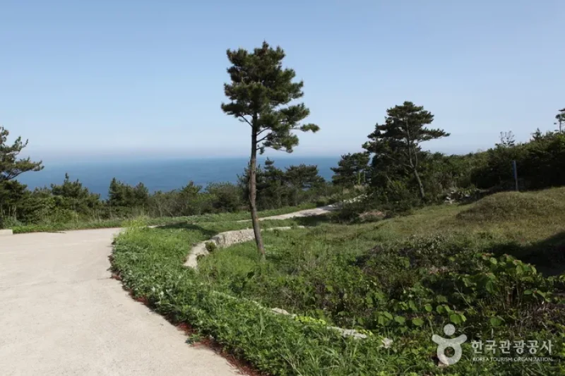 楸子島オルレ（추자도 올레） (1/1)