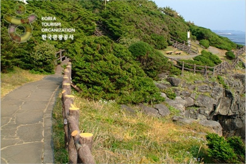 南元クンオン海岸（남원 큰엉해안） (9/21)