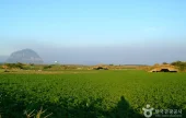 アルトゥル飛行場及び旧日本軍飛行機格納庫