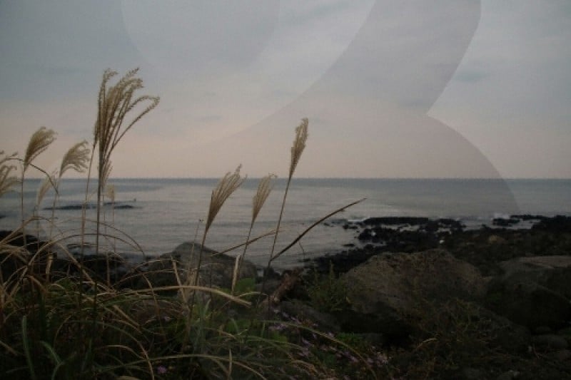 新豊・新川海牧場（신풍 신천 바다목장） (1/6)