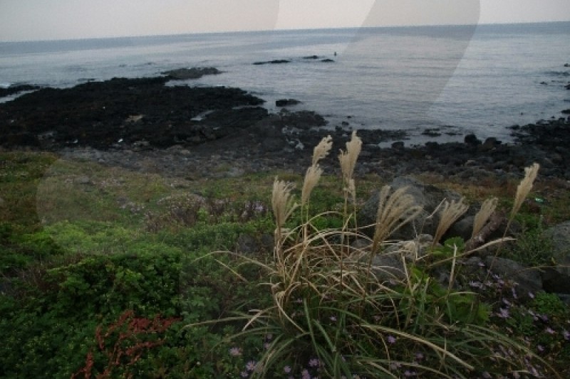 新豊・新川海牧場（신풍 신천 바다목장） (4/6)
