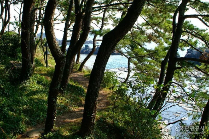 江汀川（강정천） (5/5)