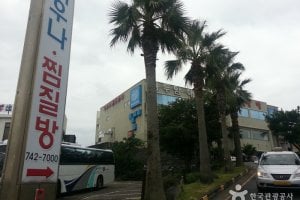 龍頭岩海水ランド（용두암해수랜드）